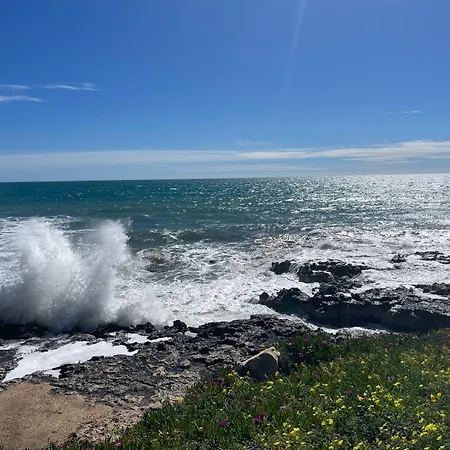 شقة Paz4 Centrum-zeezicht *